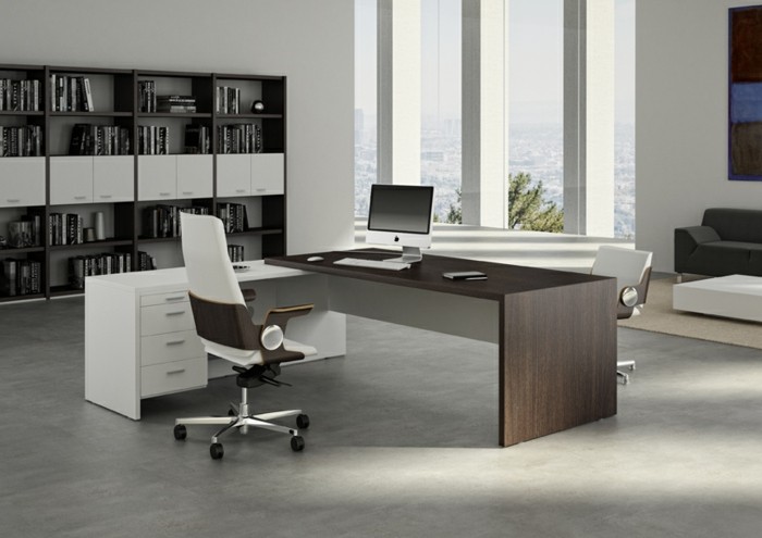 Muebles de oficina-moderna-interior-ergonómico-silla-funcional-escritorio