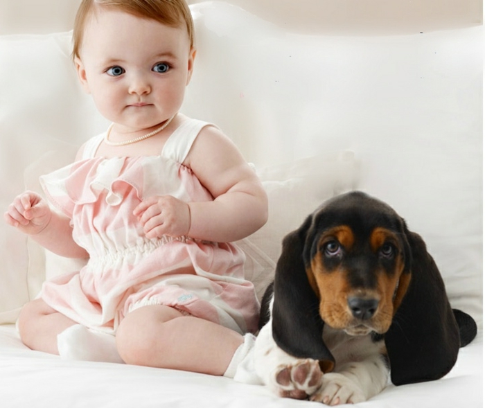 婴儿衣服，一条狗，旁边的女孩