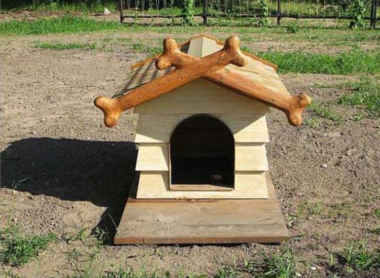 madera hueso-techo-amarillo-perro-casa-chic-noble-particularmente de salida puñaladas