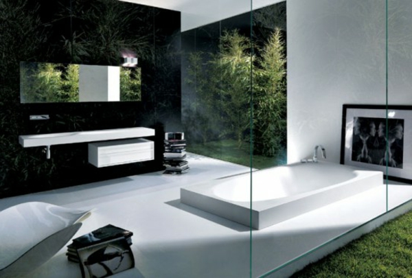 decoración moderna de la decoración del cuarto de baño - pared de cristal y plantas verdes