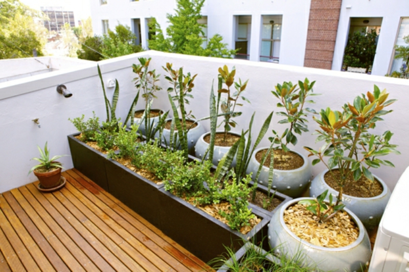 balcón-planta-cool-modelo-de-balcón-mucho-planta