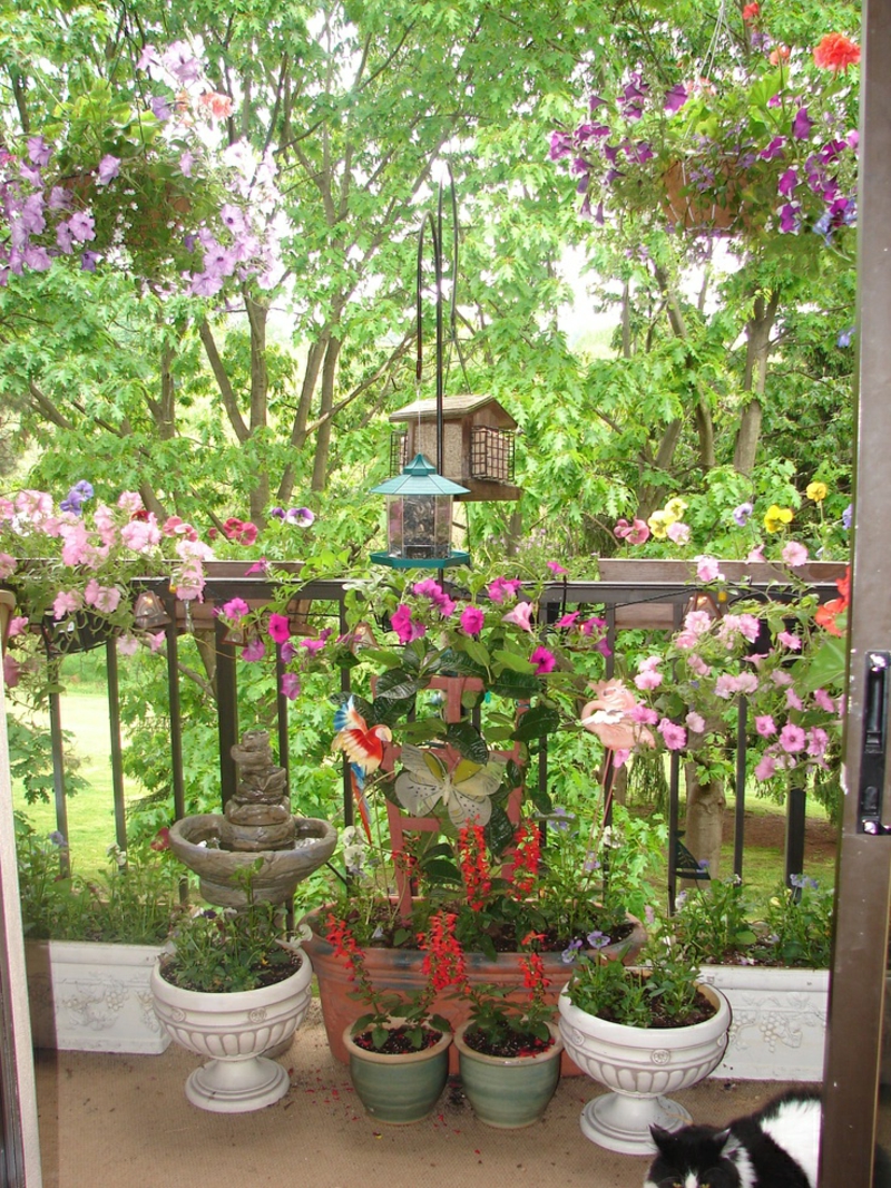balcón-planta-super-mucho-hermosas-flores
