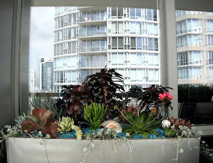 balcón-decoración-muchos planta de la ventana