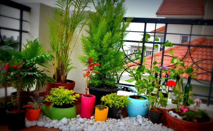 balcón-decoración-muchas plantas-en-colorido-ollas