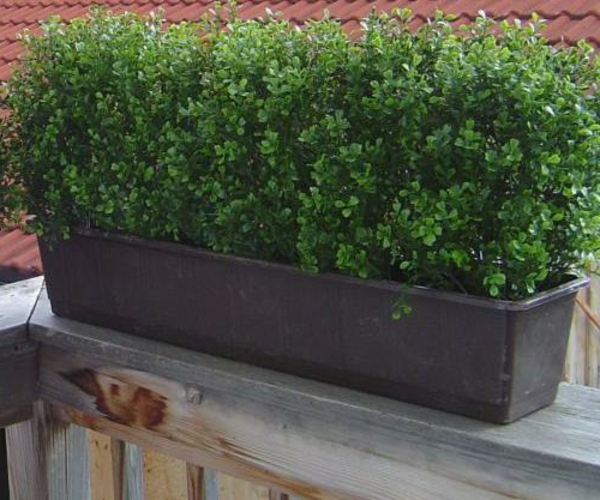 revestimiento de balcón -verde-maceta-planta-acogedor-ambiente-en-la-terraza
