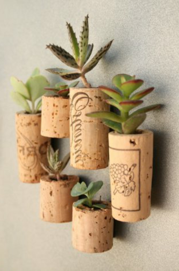 tinkering-with-cork-erittäin mielenkiintoinen-pienet kasvi ruukut