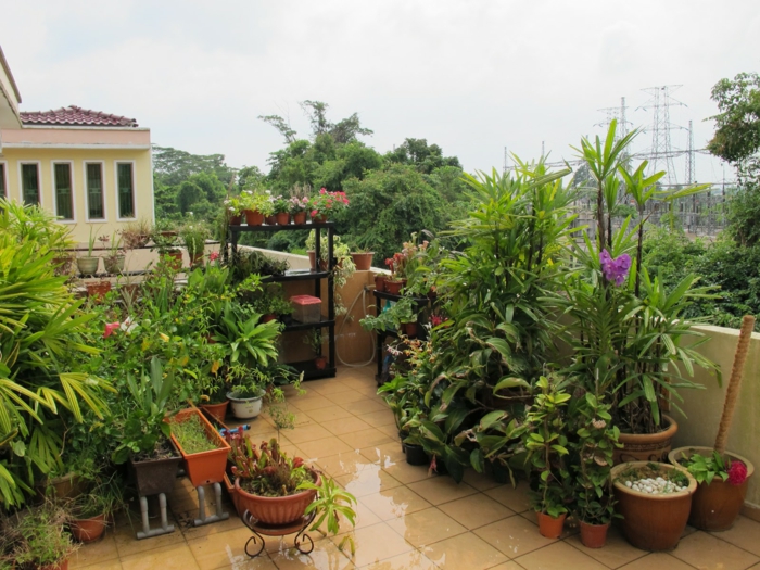 bepflanzung-屋顶露台，落地式Flisen和花卉，陶工