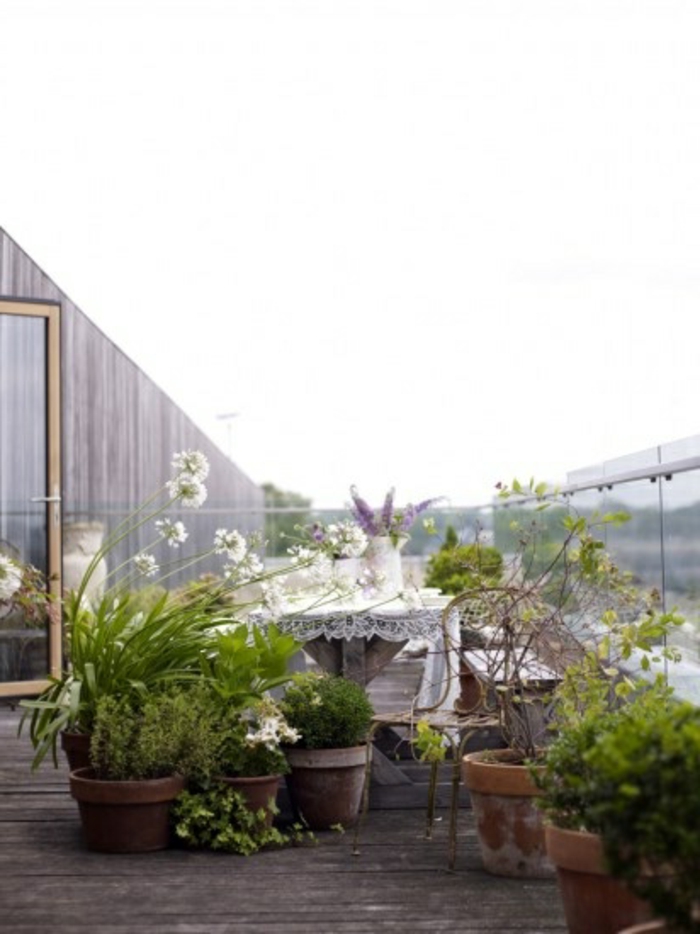 bepflanzung-屋顶露台，玻璃和木材