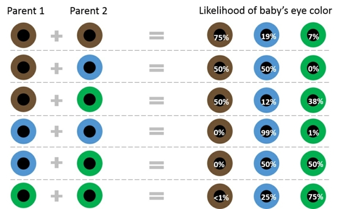 ماذا يعني بني العينين تركيبات لون العين يعني الآباء والأطفال ما هو ممكن