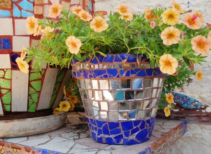 花盆用蓝色银色和棕色与美丽的植物绿色和黄色的花朵