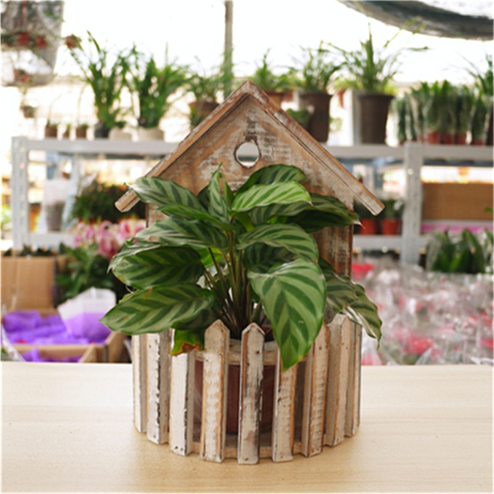 花盆自己做花独特的想法木制装饰花房子