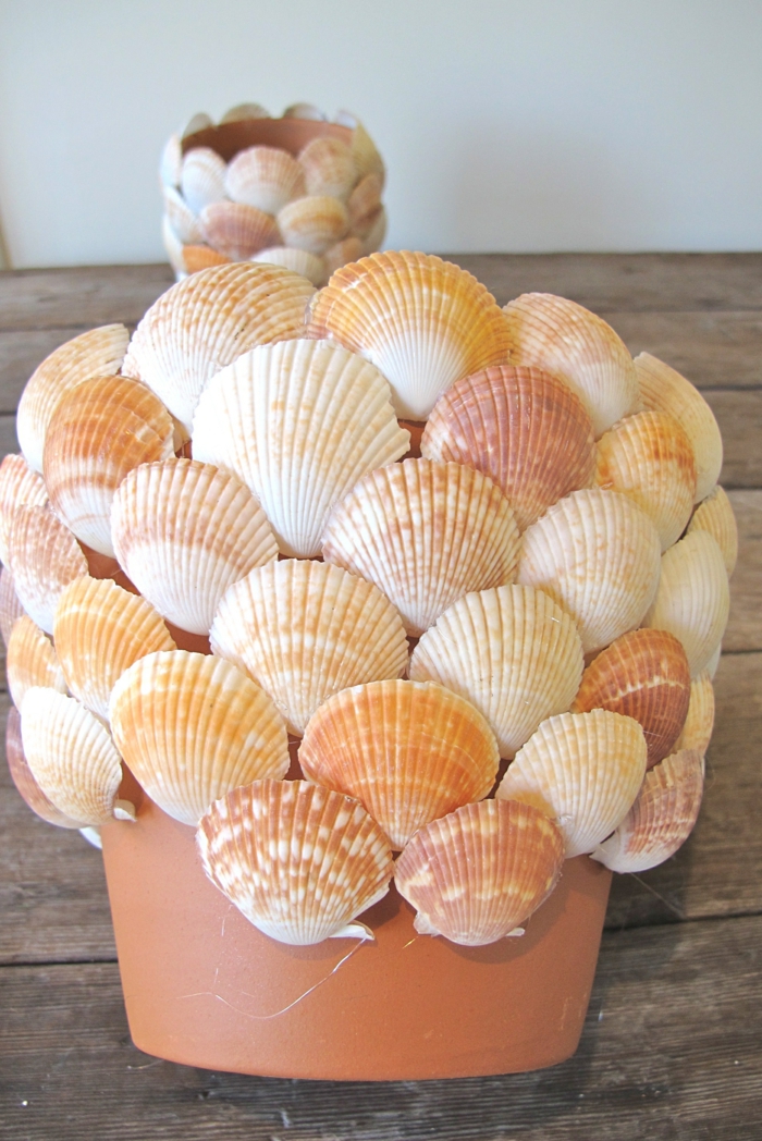 现在，你的陶罐几乎完成了装饰和美丽的蛤蜊夏季想法装饰