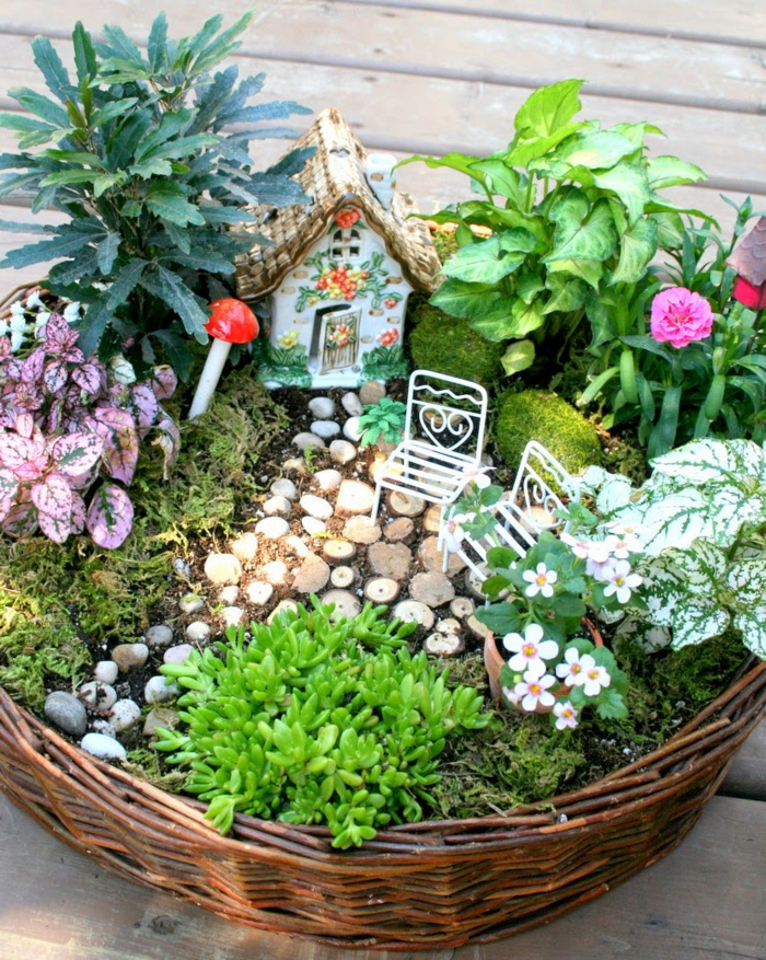 花盆植物想法图片在一个篮子里的小花园时尚绿色植物蘑菇山寨