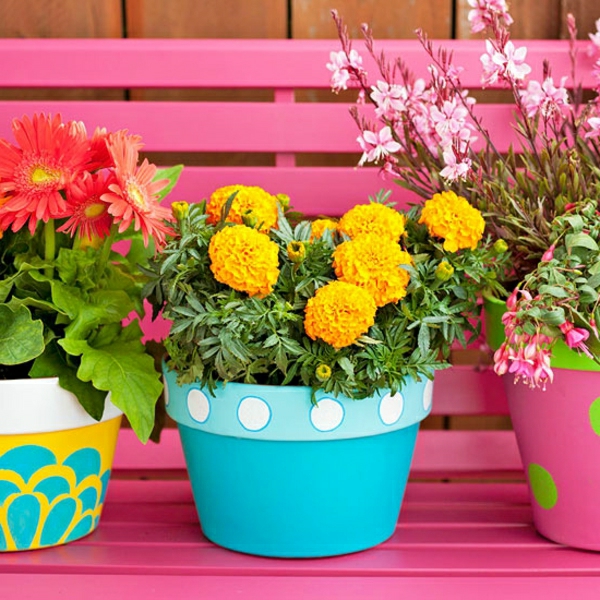 posuda za cvijeće-šareno-biljka-banka-roza-ideje-vanjski-vrt-dizajn