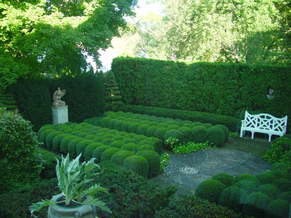 Buchsbaum-φορμαρισμένο-Garden Bench