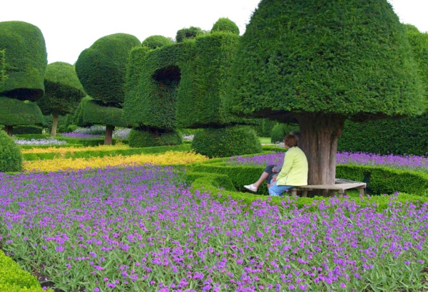Buchsbaum-valettu-historiallinen-topiary-puutarha-etelä-Cumbria