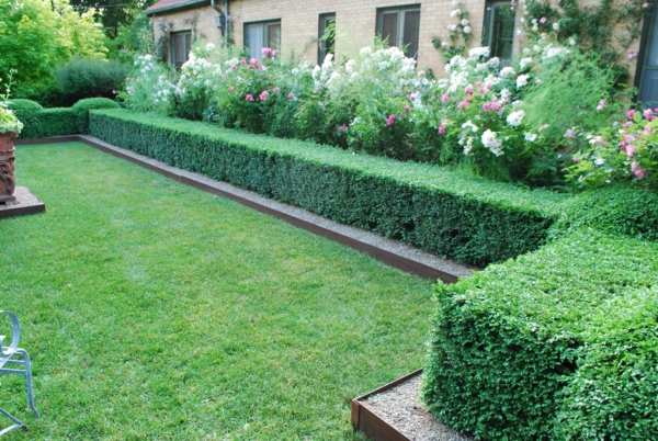 Buchsbaum-μορφοποιημένα τετραγωνικών κήπο