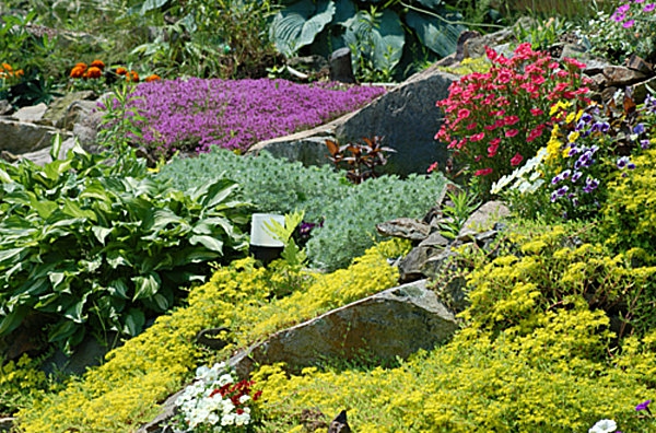 פרחים צבעוניים ואבנים לעיצוב הגן