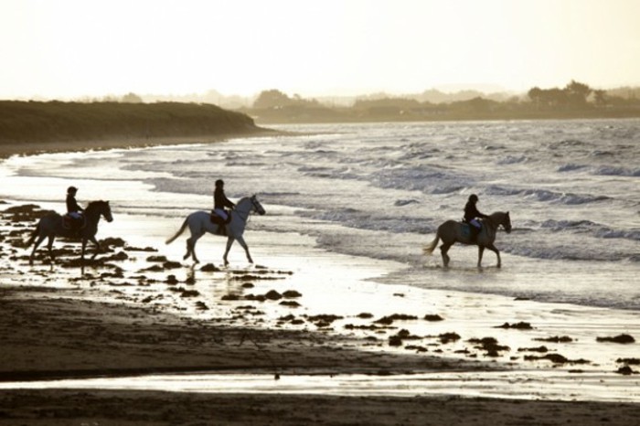 冷照片中，海三男子骑马