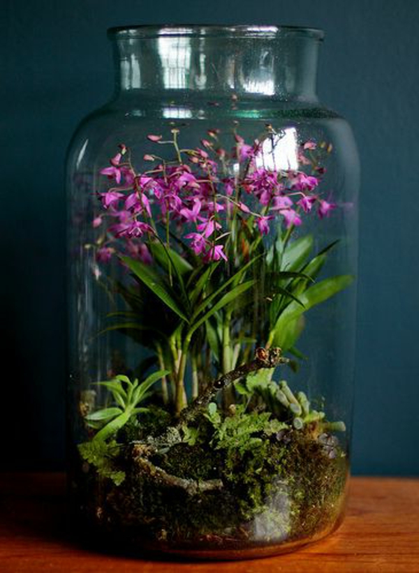 terrarium, jossa on kauniita kukkia