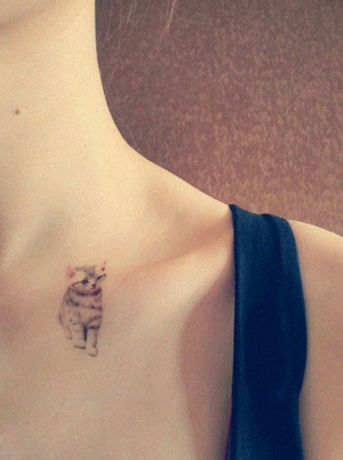 我们最喜欢的一个与灰猫小纹身 - 一个带猫纹身的女人的想法