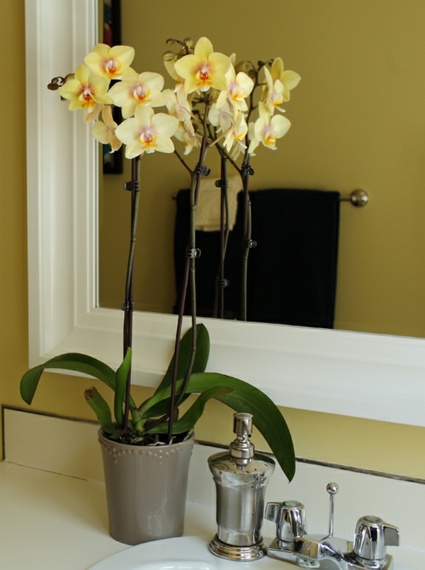 деко-с-орхидея-жълт цвят - пред голямо огледало