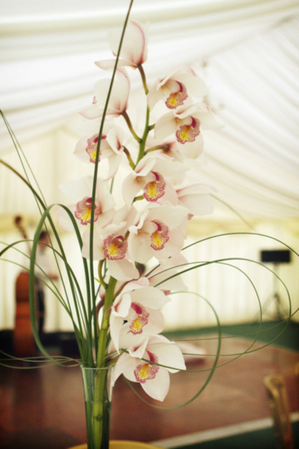 Украсена с орхидеи - създадена креативно - в голяма зала
