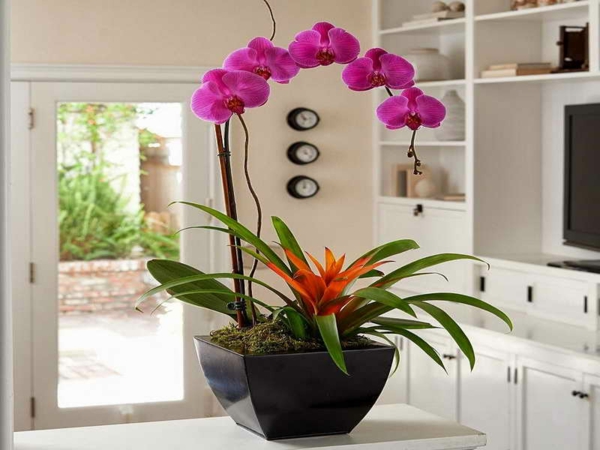 деко-орхидея-модерен дизайн-в бели цветове