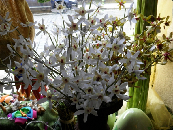 деко-орхидея-до-прозореца-снимка, взета от близо
