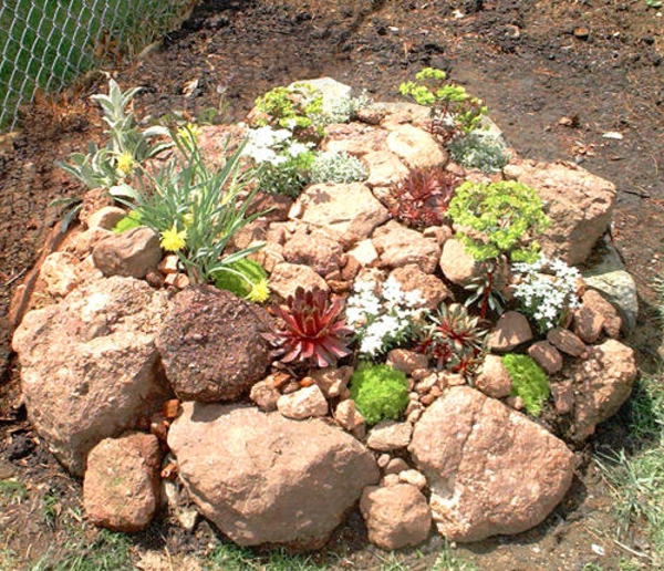 बगीचे में छोटे पौधों के साथ पत्थर की सजावट