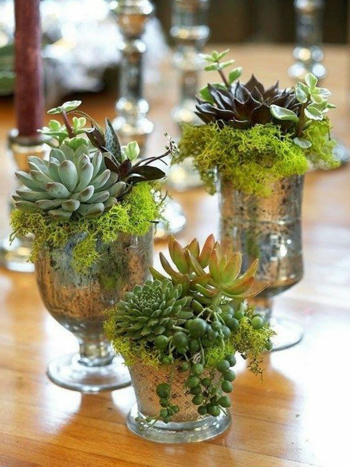 装饰的想法弹簧三花瓶的植物和苔藓