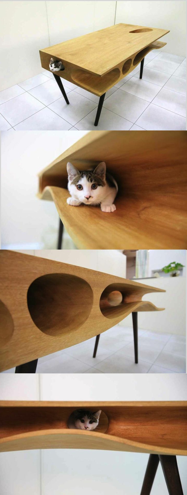 Diseño de muebles del gato-Chuchu-ny-escritorio