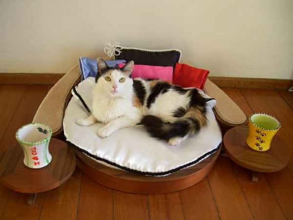 עיצוב-רהיטים חתול-עצמו מיטות