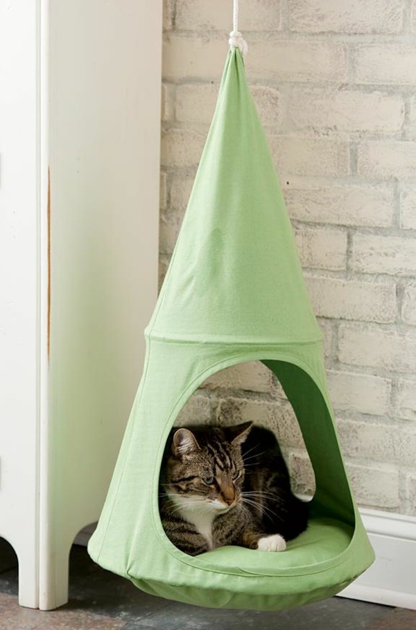 Diseño de muebles del gato-verde-casa-colgante