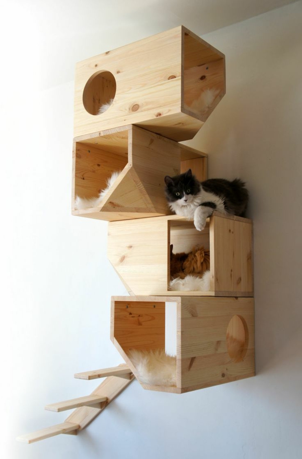 Diseño de muebles del gato-Imgur