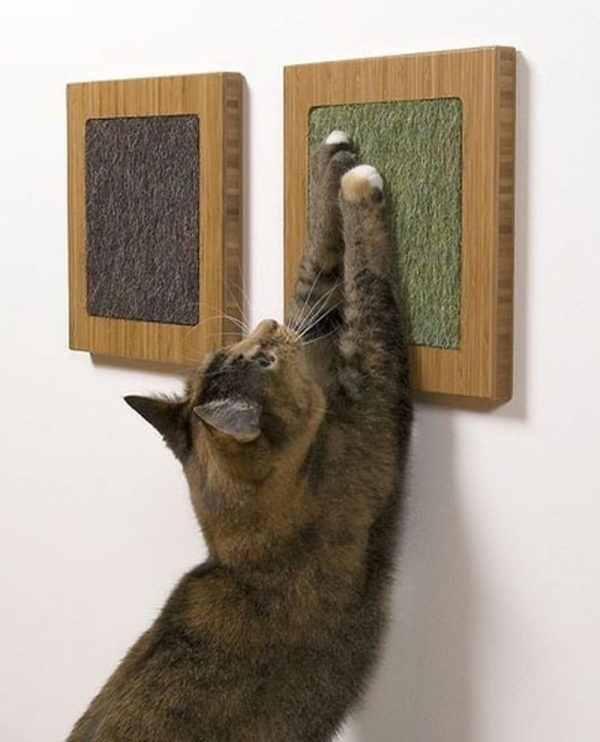 סט חתול-מאפס עיצוב רהיטים
