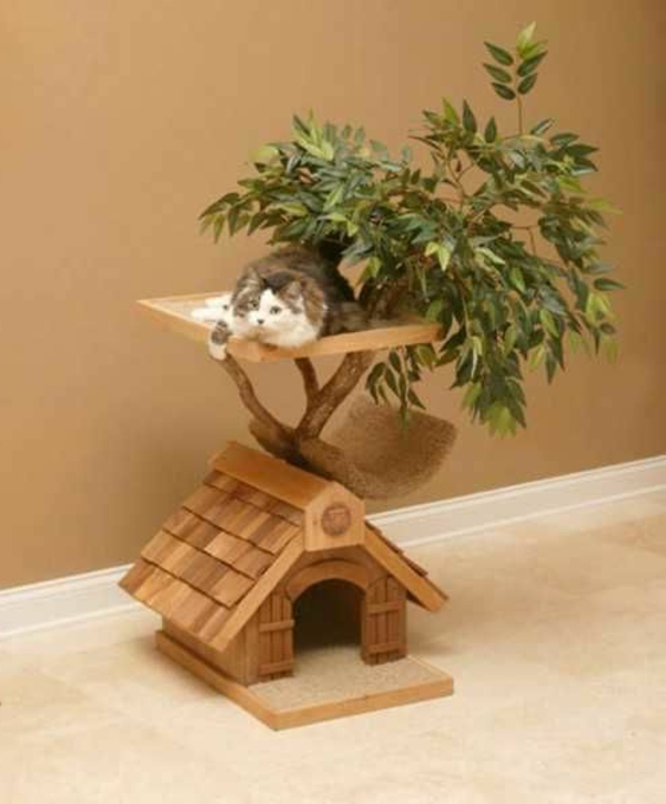Diseño de muebles del gato-lushome
