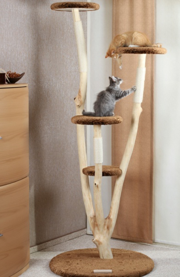 Diseño de muebles del gato-rarissima