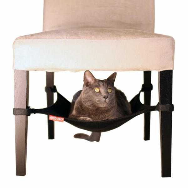 Diseño de muebles del gato-silla-con-sorpresa