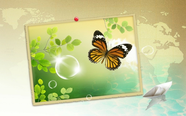 desktop pozadine-proljeće-leptir