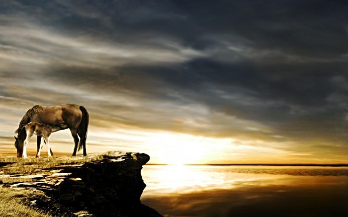 在最匹马的世界唯一，日落照片