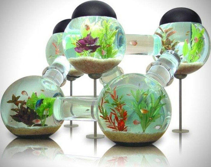 le monde des poissons-aquarium-ball eau plantes de sable peu de poisson-poisson rouge-aquarium dispositif