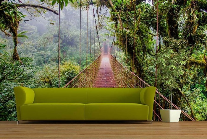 piso-Brücke-Gruner-sofá-planta-madera de la selva y lo natural