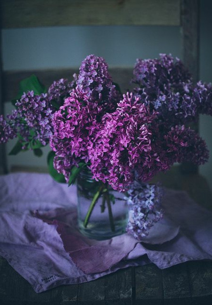 Flor púrpura oscuro-Fotos de la vendimia Photo florero con la lila