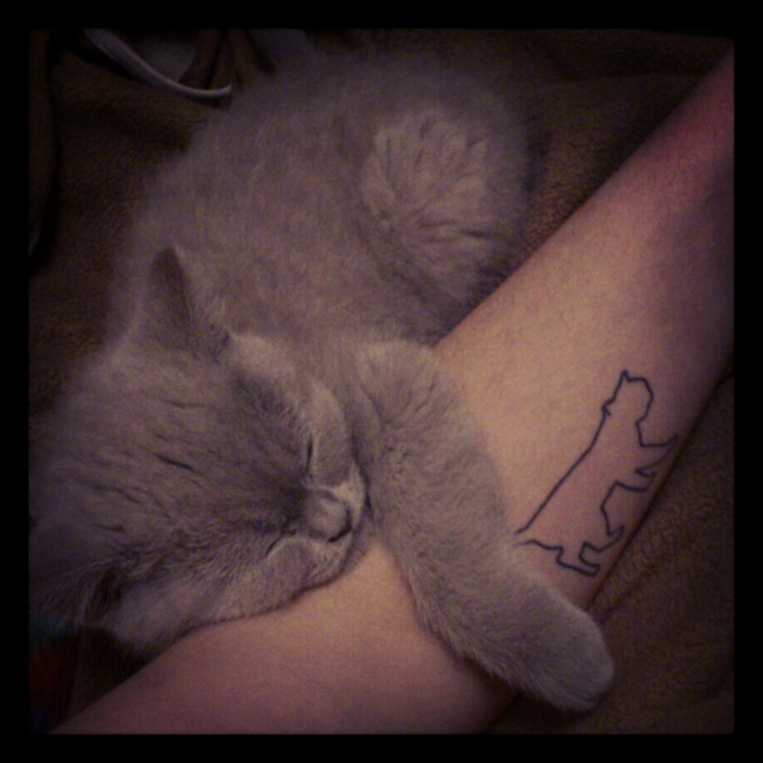 छोटी बिल्लियों टैटू - यहां एक छोटा, प्यारा, नींद, धूसर बिल्ली और थोड़ा काली बिल्ली टैटू वाला हाथ है