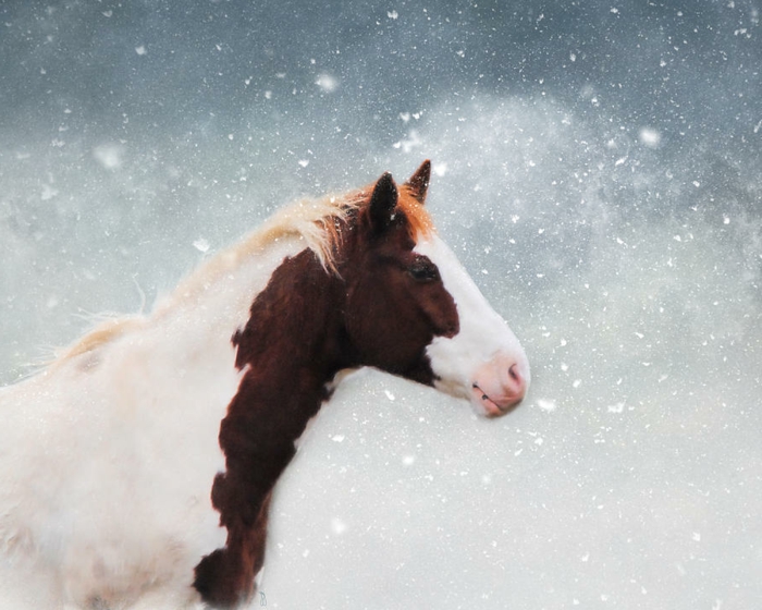 una ilustración-caballo-en-nieve