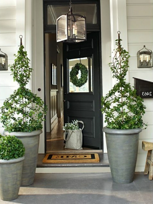 一个现代的门，用绿色装饰植物