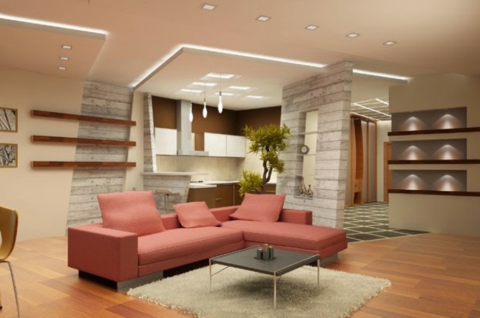 独特设计的生活费，玫瑰色沙发有趣的天花板镶板