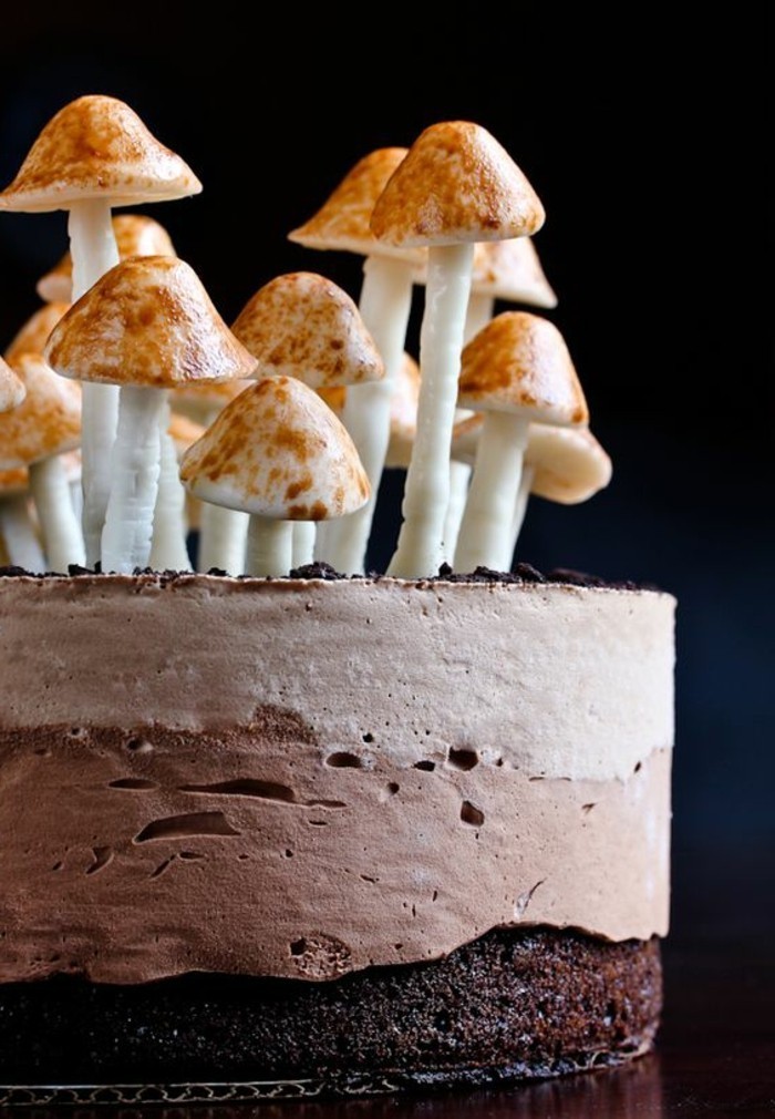 独特的巧克力蛋糕与 - 蘑菇 - 的糖装饰