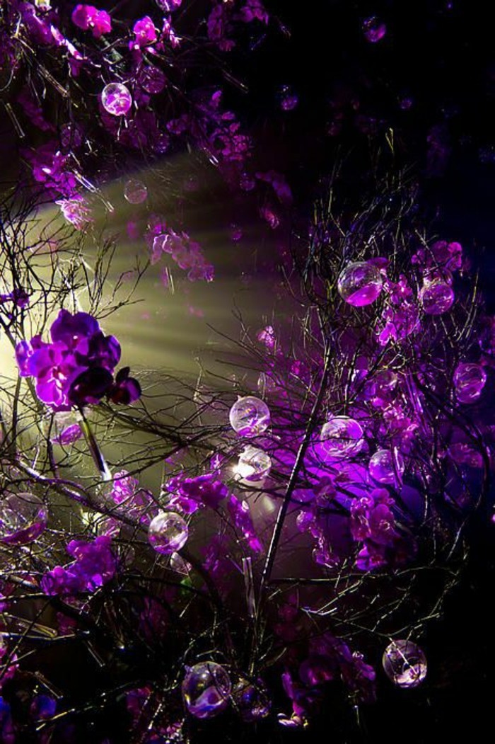 Única de fotos de flores púrpuras